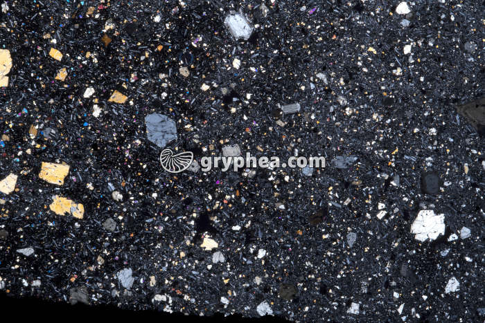 Basalte LPA x1,5 - gryphea.org